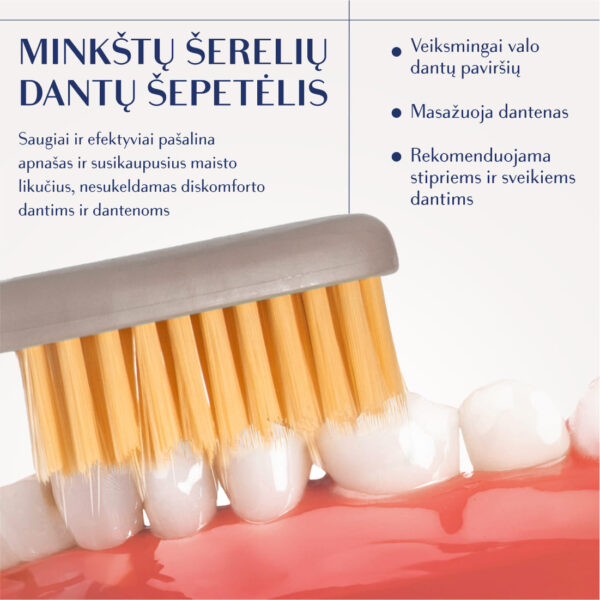 GOLD SOFT dantų šepetėlis, pilkai rusvas, modernus kotelis - Image 5