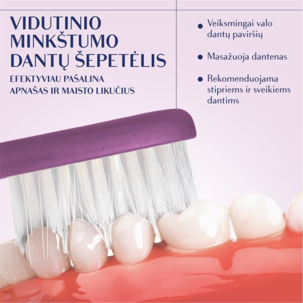 SILVER MEDIUM dantų šepetėlis, tamsiai violetinis, modernus kotelis - Image 5