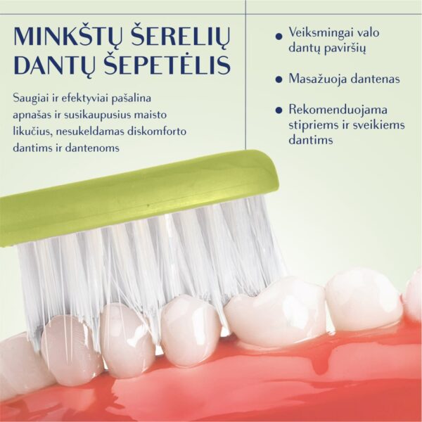 SILVER SOFT dantų šepetėlis, alyvuogių žalias, modernus kotelis - Image 5